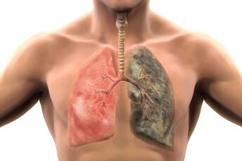 More than 200 harmful compounds poison the body with each inhalation